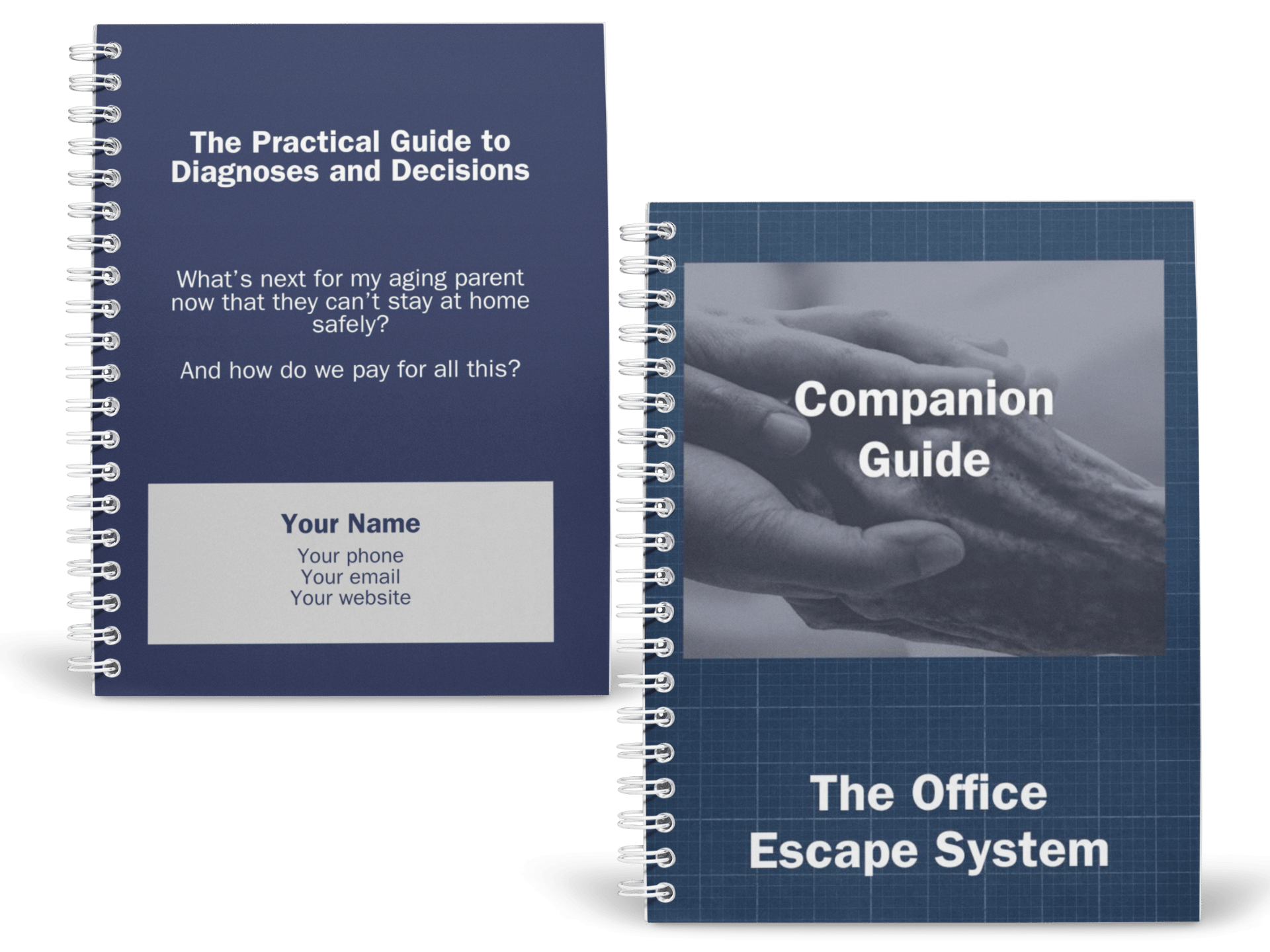 Two spiral-bound books titled 'The Practical Guide to Diagnoses and Decisions' and 'Companion Guide' on a white background.